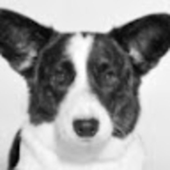 Meet your Posher, Vallisonot - Picture 1 of 1